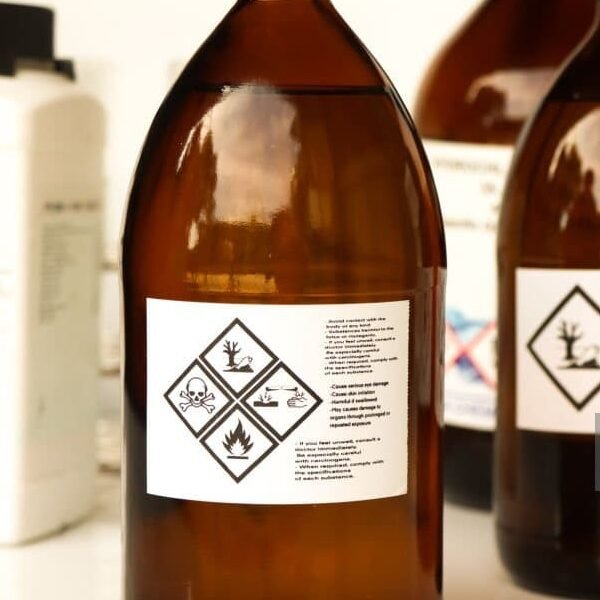 istockphoto-1446493899-1024x1024